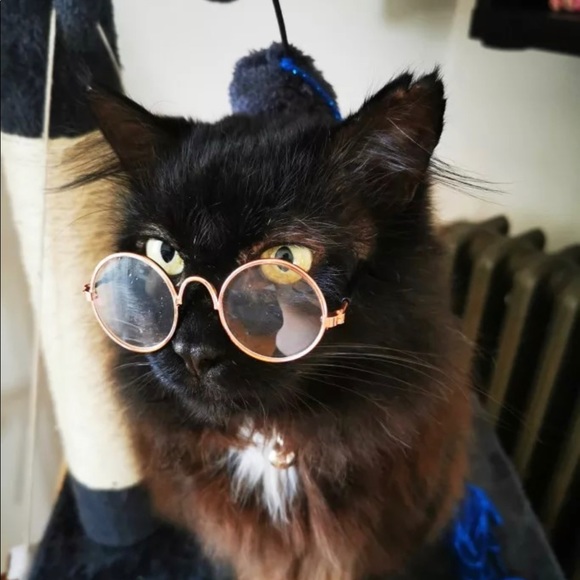 2 pair for $15 Kitty sunglasses - Picture 5 of 16